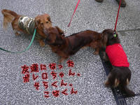 11日谷中ペケ市、寒くても温まるいい一日でした＾＾