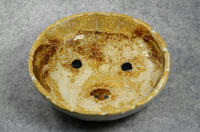 家鴨窯299号　トイ・プーのご飯皿＝モデル：愛犬マイト＝