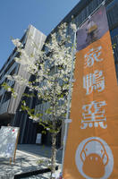 若木の桜と家鴨窯＾＾あかぎマルシェ有難うございました。