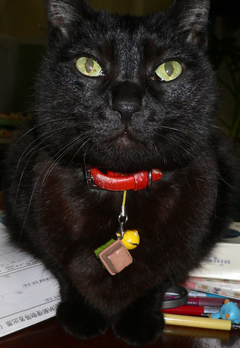 201304mizuahiru_59.jpg