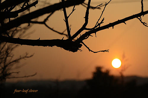 山に沈みゆく夕陽