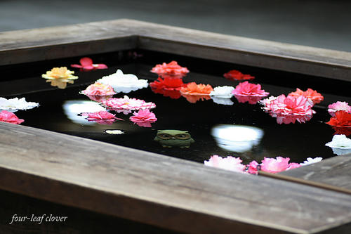 ベゴニアの花が浮かんだテーブル