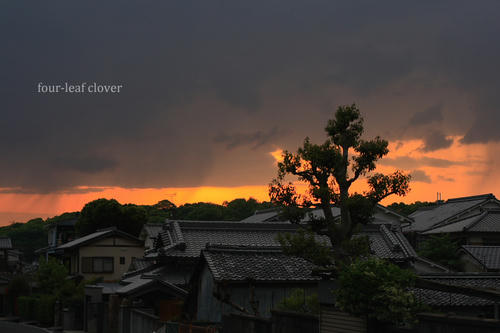4月27日の夕景