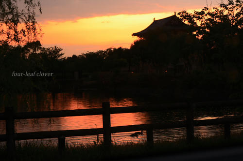 ４月２７日の夕景