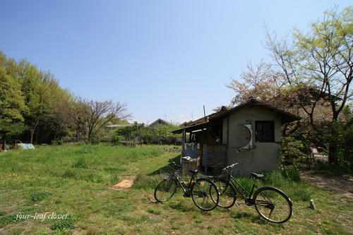 居心地のいい場所