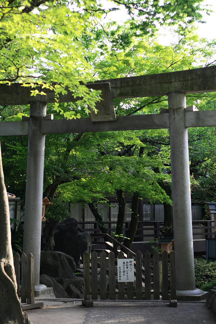石切劔箭神社の広場側の鳥居