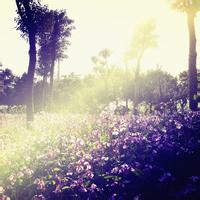 於平淡歲月中捕捉到那叩響心靈的音符