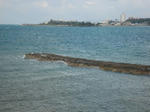0739ec10.jpg