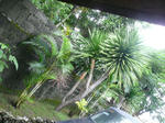 e93372e1.jpg