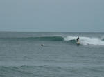 P1000466.JPG