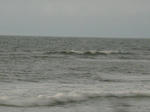 1ec9c245.jpg