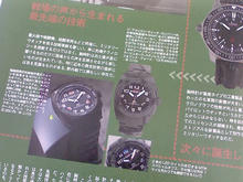 86c64184.JPG
