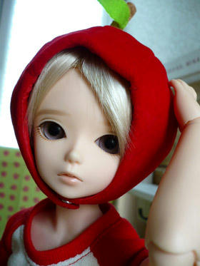 robin018.jpg
