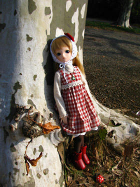 orin009.jpg