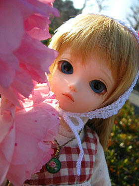 orin014.jpg