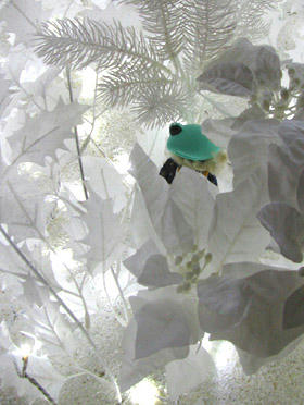 pino004.jpg