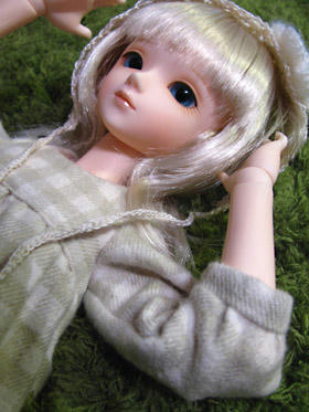 ellen002.jpg