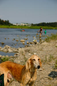 DSC_8.15-42.jpg