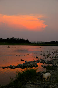 DSC_8.15-98.jpg