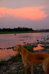 DSC_8.15-101.jpg