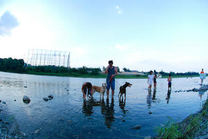 DSC_8.15-a3.jpg