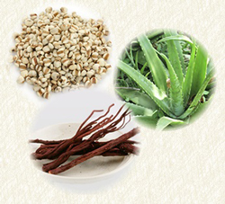 養麗潤（ようれいじゅん）に含まれる漢方