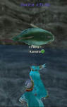 魚･･･