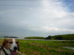 livetorainbow.JPG