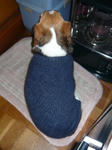 6thbirthday3.JPG
