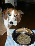 6thbirthday5.JPG