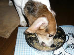 6thbirthday6.JPG