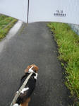 walkintherain.JPG