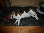ontherock2.JPG