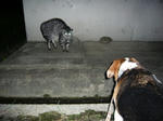 yucat2.JPG