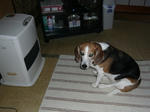 heater.JPG