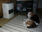 heater2.JPG