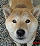 DSCN2410.jpg
