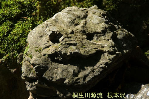 IMGP0695.jpg