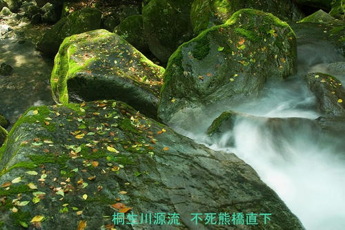 IMGP0708.jpg