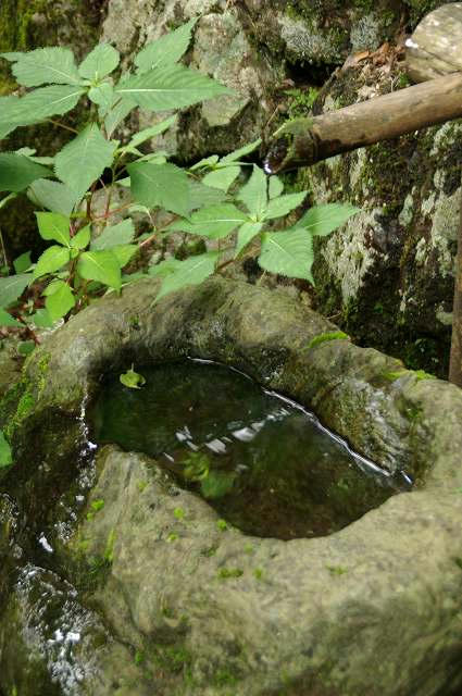 IMGP2582.jpg