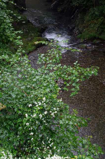 IMGP5174.jpg