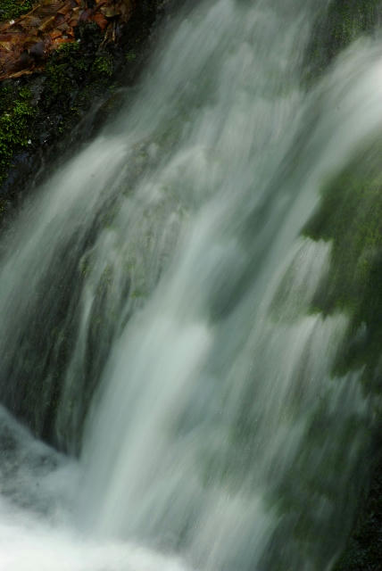 IMGP6261.jpg