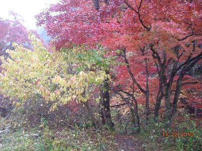 DSCN2166.jpg