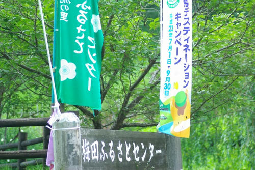 IMGP2861.jpg
