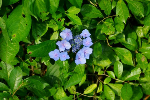 IMGP2871.jpg