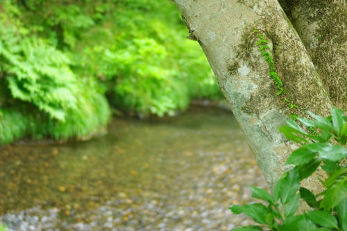 IMGP2873.jpg