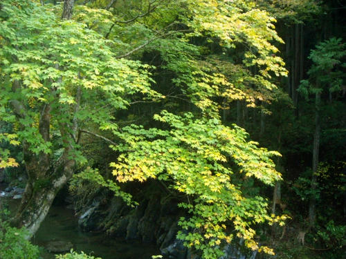 DSCN5064.jpg