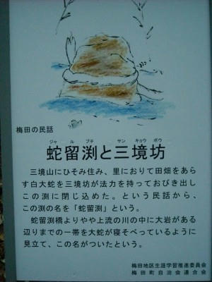DSCN5122.jpg