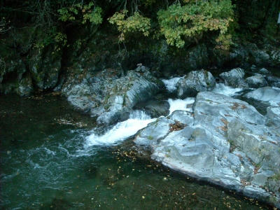 DSCN5123.jpg