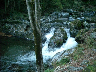 DSCN5124.jpg